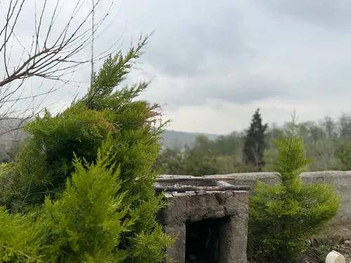 تصویر 12 - کلبه سوئیسی دلیزه (۴) در سوادکوه