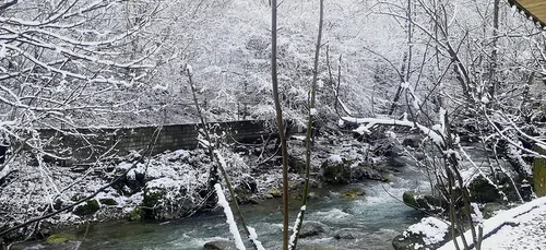 تصویر 31 - ویلا دلنواز کنار رودخانه در ماسال