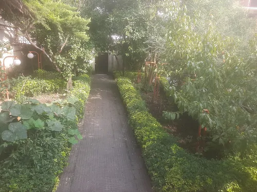 تصویر 4 - ویلا ویلا باغ متل قو در متل قو