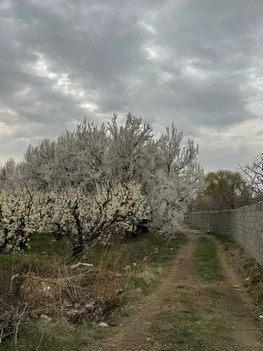 تصویر 17 - ویلا استخردار آبگرم روژین با جکوزی و ایرهاکی در  چهارباغ