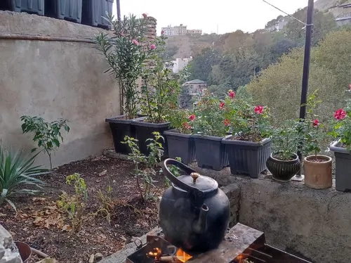 تصویر 23 - خانه باغ کوهستانی در درکه در  تهران