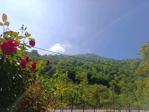 تصویر 19 - ویلا بهرام زیرانی  در  ماسوله 