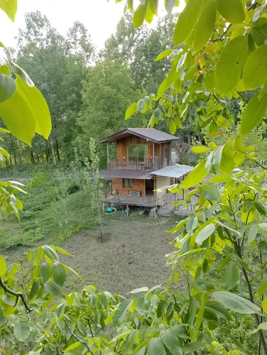 تصویر ۱ - کلبه چوبی مرتضی در  شیرگاه