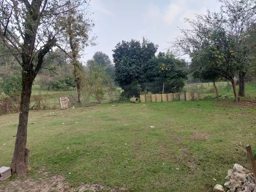 تصویر 13 - ویلا نویان در فومن