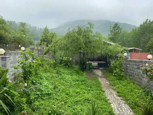 تصویر 20 - کلبه جنگلی لیام (روستای سیاهدول) در ماسال