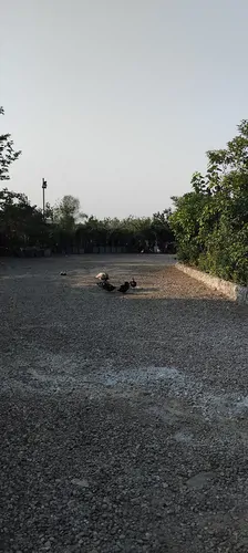تصویر 8 - سوییت کولمه (9) در  رشت