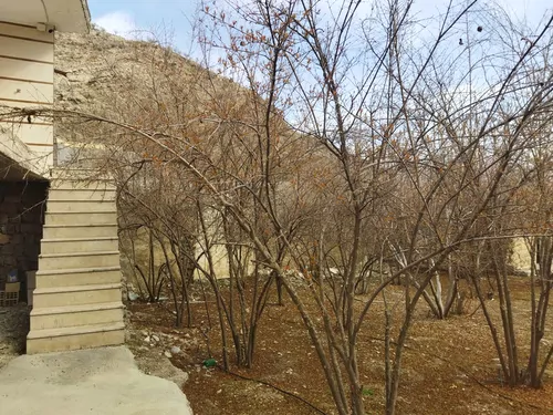 تصویر 13 - ویلا دلباز شیوند در ایذه