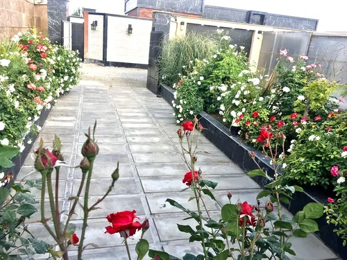 تصویر 18 - ویلا استخردار سرپوشیده آبگرم کیانا در کردان