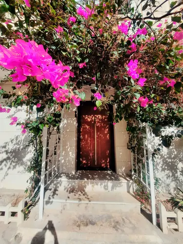 تصویر 2 - آپارتمان مبله بهار در  بوشهر