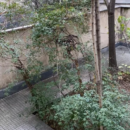 تصویر 13 - آپارتمان مبله در پاسداران (هروی) در  تهران