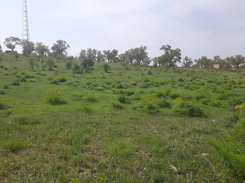 تصویر 14 - خانه مبله کارون  در  ایذه