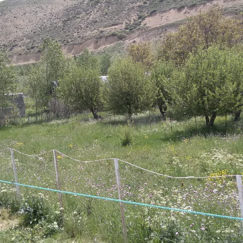 تصویر 3 - ویلا سوئیت ویلای بنیادی  در خلخال