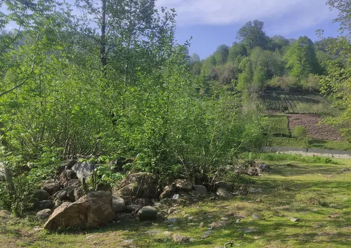 تصویر 10 - خانه نیازی در  قلعه‌رودخان 