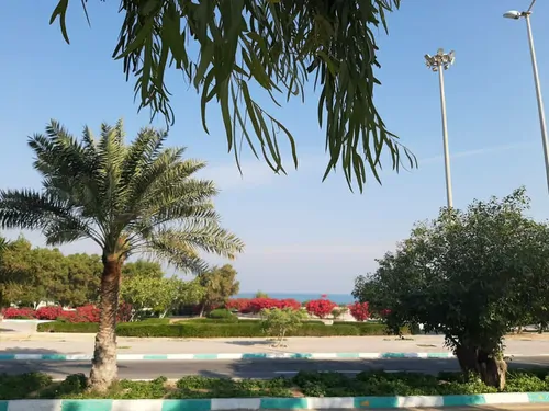 تصویر 2 - ویلا ساحلی عرفان در کیش