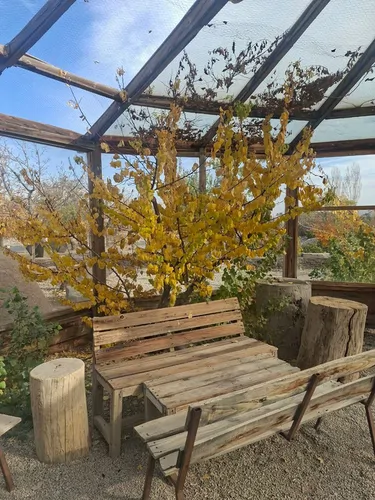 تصویر 4 - کلبه بومگردی چهار تخته سنتی در شاهرود