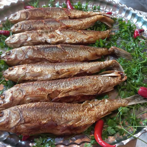 تصویر 23 - اقامتگاه بوم‌گردی دارکوب(اتاق چلچله) در  رستم آباد