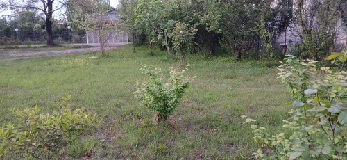 تصویر 26 - ویلا سعید در  ماسال