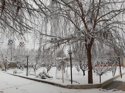 تصویر 32 - ویلا چهار باغ در  سهیلیه