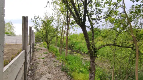 تصویر 25 - کلبه توسکا در  انزلی