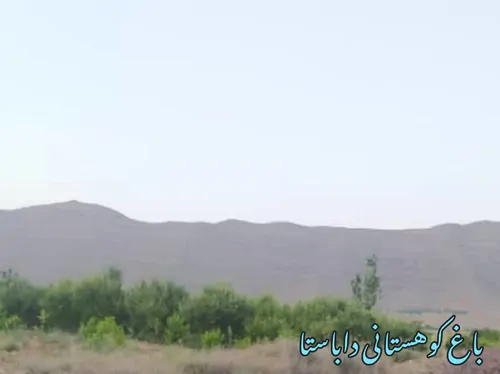 تصویر 3 - آپارتمان خانه داباستا در شیراز