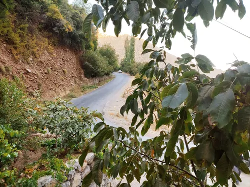 تصویر 13 - خانه نودشه (2) در  پاوه