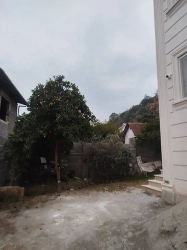 تصویر 20 - ویلا نیلوفر در  رامسر