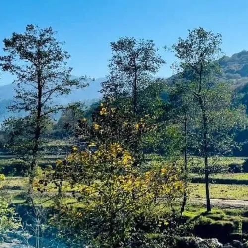 تصویر 2 - ویلا فاطیما۱ در سوادکوه