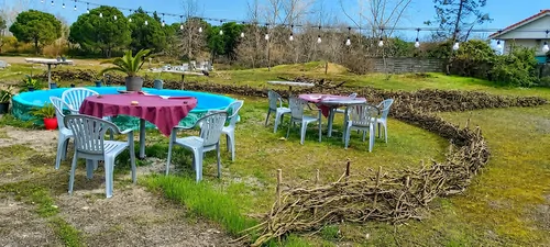 تصویر 2 - ویلا اقامتگاه جنگلی لب دریا واحد کاکتوس در کیاشهر