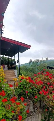 تصویر 16 - ویلا جنگلی امیرحسین با جکوزی  در  رامسر