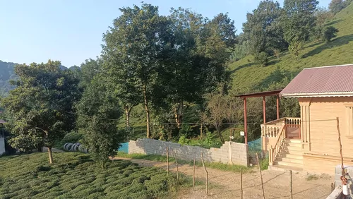 تصویر 14 - ویلا جنگلی مصطفی در املش