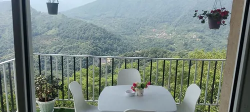 تصویر 18 - ویلا  صدف طلایی در  رامسر