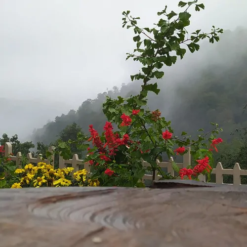 تصویر 2 - اقامتگاه بوم‌گردی پندی بسک کاهگلی ۳۵ متری  در تالش
