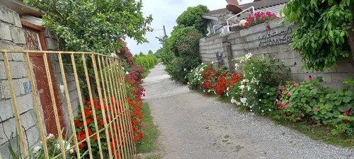تصویر 2 - کلبه کلبه دوستان  در محمودآباد