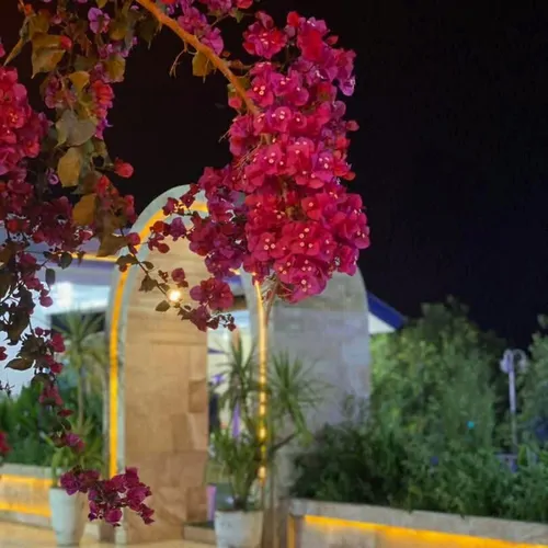 تصویر 5 - ویلا عمارت ترنج در  دزفول