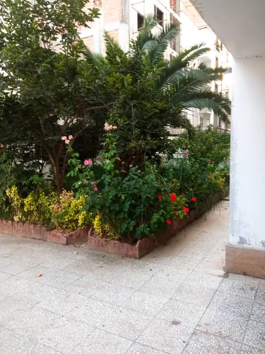 تصویر 2 - آپارتمان اجاره آپارتمان ساحلی مسکن مهرچاکسر در سرخ رود