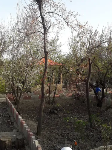 تصویر 17 - ویلا باغ قاصدک  در  ملارد 