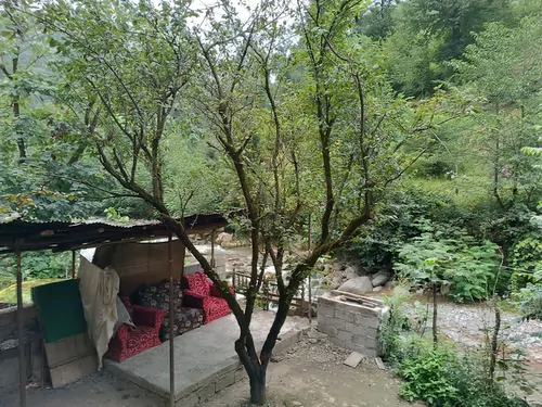 تصویر 5 - آپارتمان ویلای جنگلی لب رودخانه و کوهای هیرکانی در اسالم