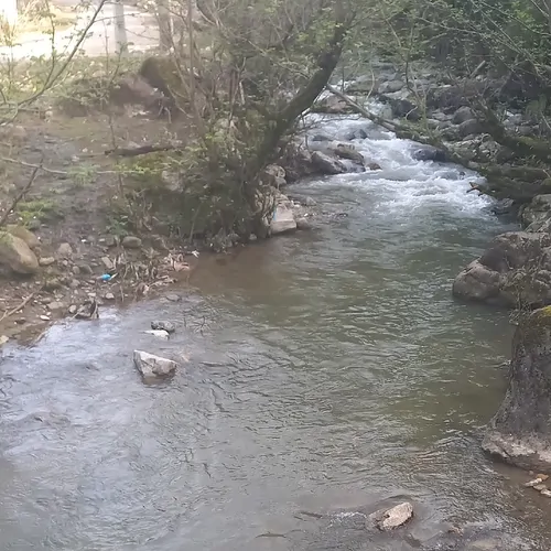 تصویر 15 - ویلا جنگلی ناردون در  ماسال
