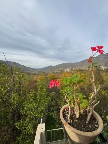 تصویر 2 - ویلا ویلای دو طبقه در‌کلیبر با چشم انداز بی نظیر  در کلیبر