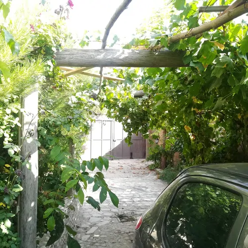 تصویر 5 - کلبه خانه باغ ساسان در  سپیدان