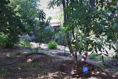 تصویر 18 - ویلا باغ گردو در  دماوند