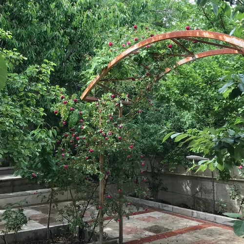 تصویر 2 - ویلا کوی شقایق در پردیس