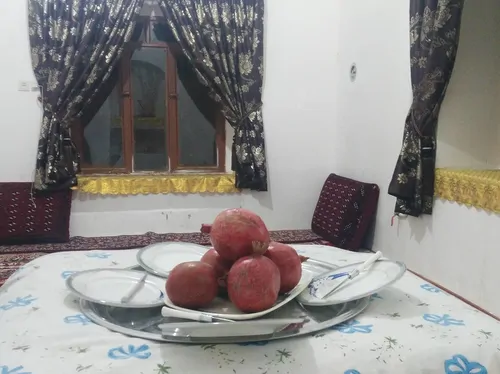 تصویر 13 - اقامتگاه بوم‌گردی ثامن (واحد4) در  فردوس