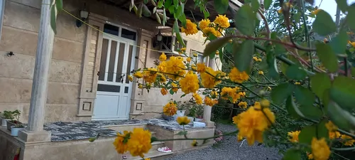 تصویر 23 - ویلا جنگلی زرهون در  قلعه‌رودخان 