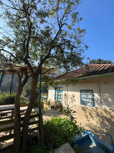 تصویر 15 - اقامتگاه بوم‌گردی  ننه‌گل در  رامسر