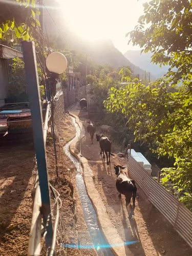 تصویر 9 - ویلا  کاوان در  پاوه