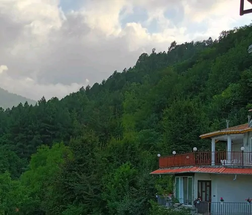 تصویر 15 - ویلا سرو در چابکسر