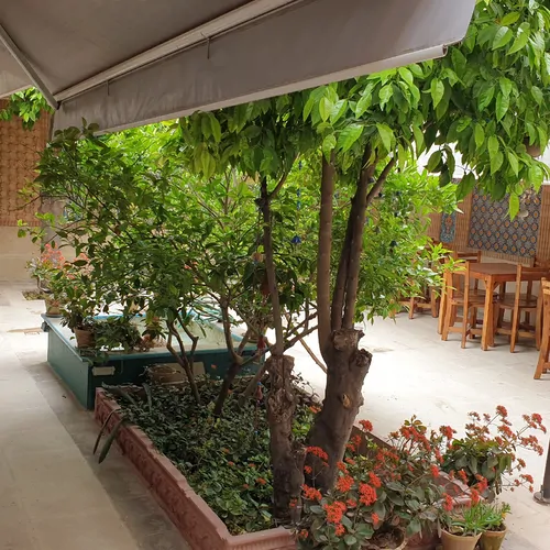تصویر 8 - اقامتگاه بوم‌گردی حافظ (واحد۳) در  شیراز