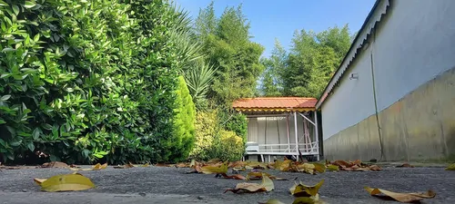 تصویر 18 - ویلا تریپلکس قو سفید در  رشت