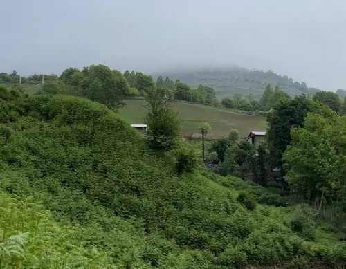 تصویر 28 - کلبه جنگلی هفته چشمه با جکوزی (طبقه 2) در  رضوانشهر